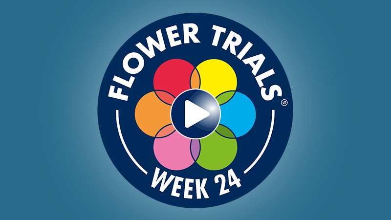 Flower Trials 2024