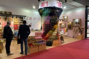 Beursstand Laboo Dried&Deco op Christmasworld