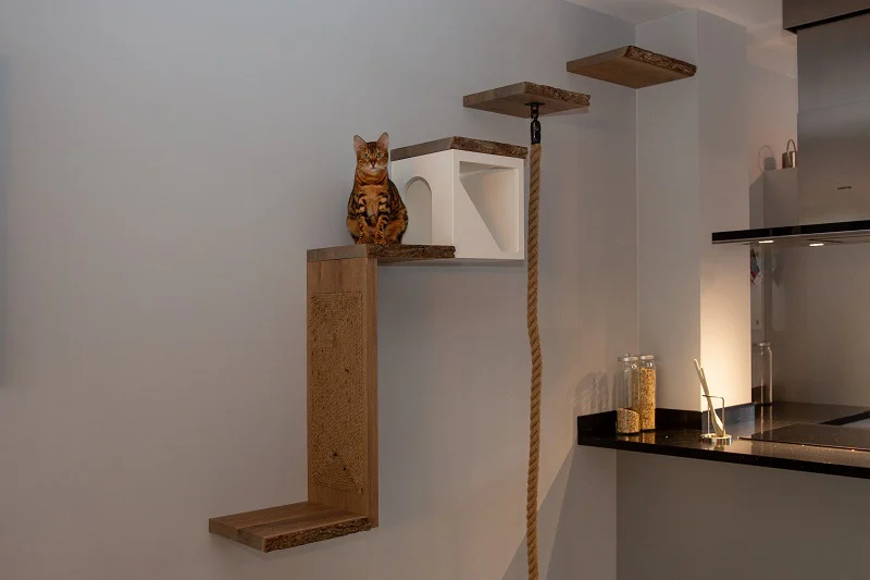 Kattentrap-wandmeubel.