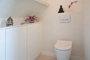 Kast in het toilet.