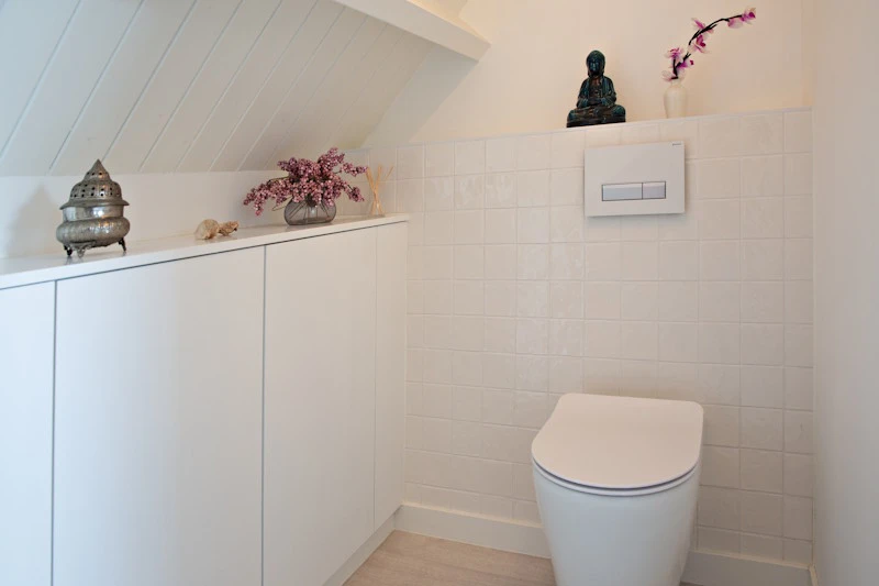 Kast in het toilet.